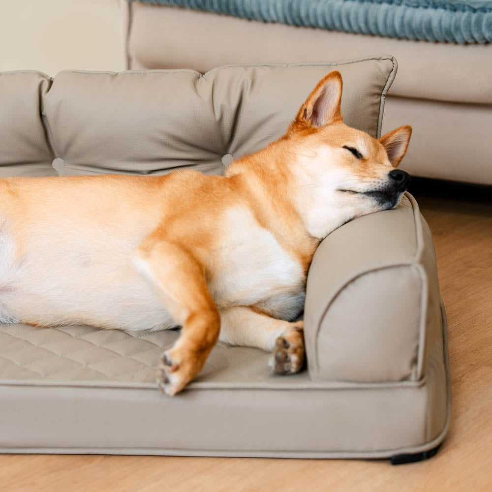 Luxuriöses Kunstleder Hundebett, orthopädisch, kognakbraun, faltbar.