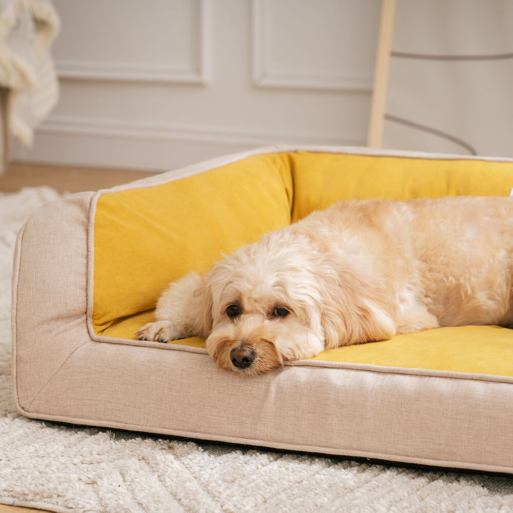 Zufriedener Hund liegt komfortabel auf seinem orthopädischen, gelenkschonenden Bett.
