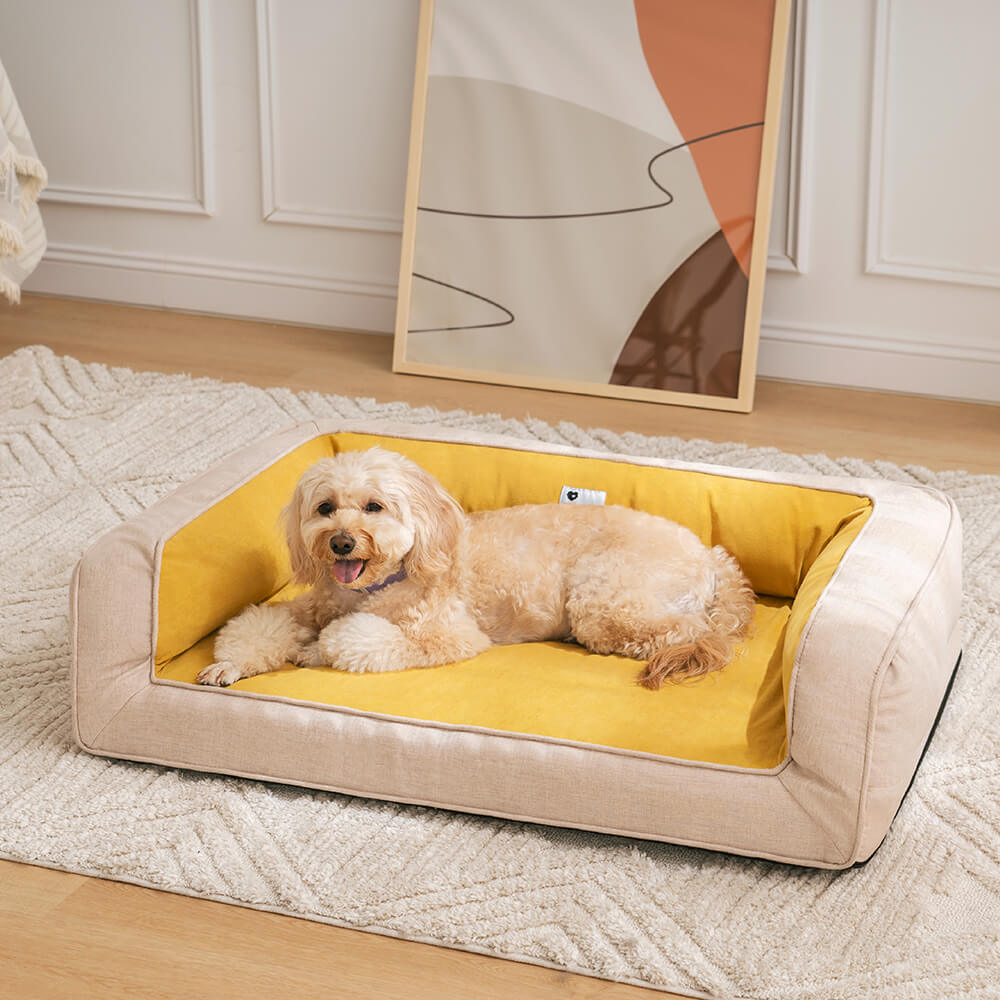 Stilvolles orthopädisches Hundebett als modernes Hundezubehör im Wohnbereich.
