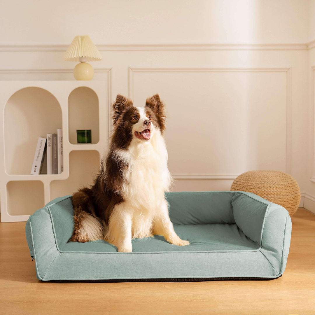 Langlebiges orthopädisches Hundebett, entworfen für maximalen Komfort & Unterstützung.
