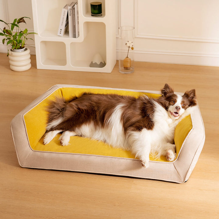 Großes orthopädisches Hundebett, Gelenkentlastung & Komfort für ältere Hunde & große Rassen.