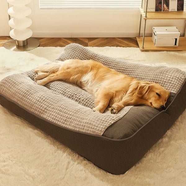 Orthopädisches Hundebett, kratzfest, für Wirbelsäulenunterstützung, ideal für große Hunde.