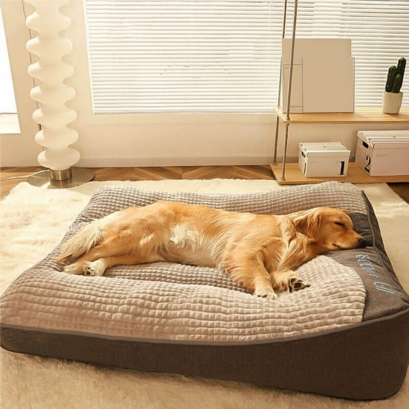 Gelenkschonendes, orthopädisches Hundebett für optimale Wirbelsäulenstütze und Tierkomfort.