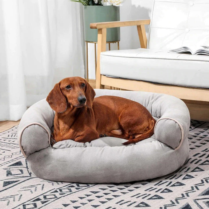 Gelenkschonendes Hundesofa, ideal für ältere Hunde, Welpen & Haustiere mit Arthrose. Komfortabel.