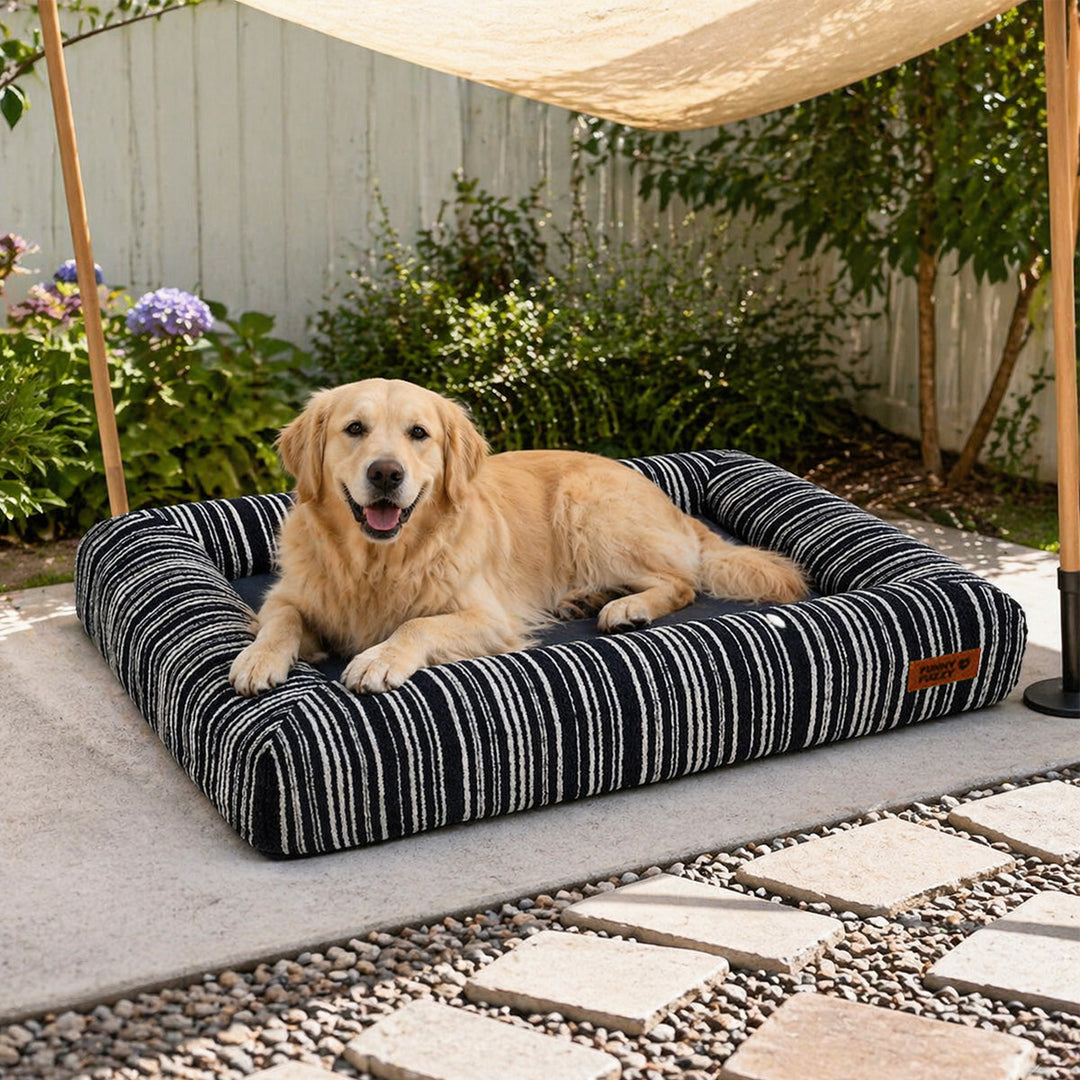 Orthopädisches Hundebett mit Memory-Schaum für optimalen Gelenkkomfort und ganzjährigen Luxus.