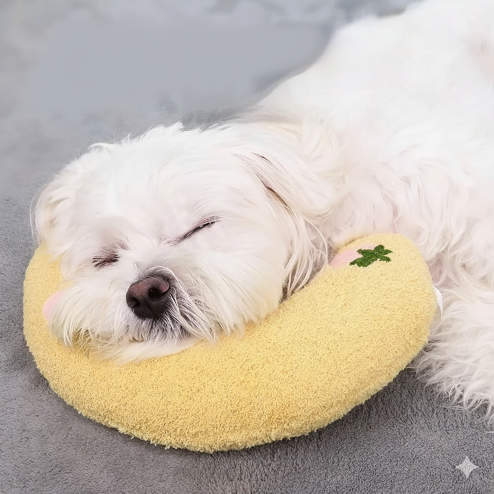 Orthopädisches Hundebett mit Memoryschaum in U-Form für Gelenkentlastung und gesunde Haltung, waschbar.