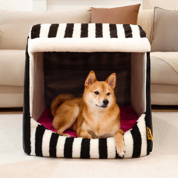 Elegantes Hundebett mit Streifen, das modernen Wohnstil und besten Schlafkomfort bietet.