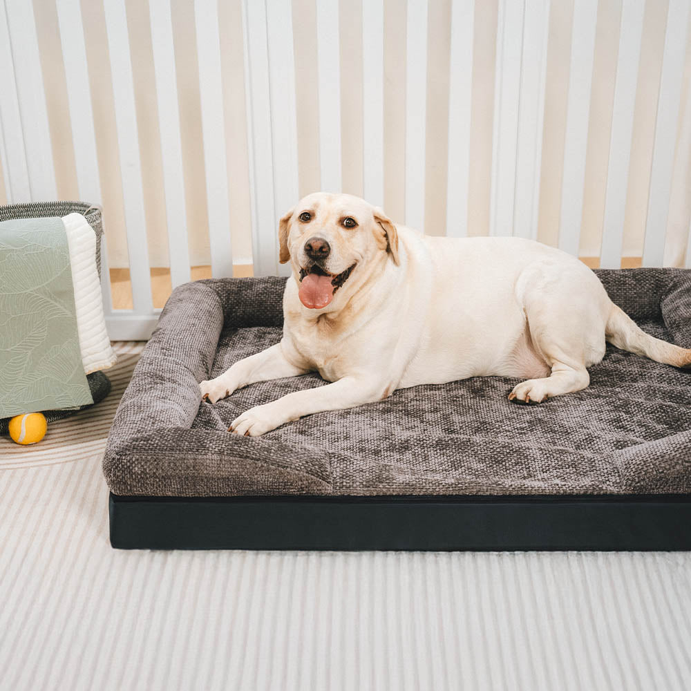 Rutschfestes, waschbares orthopädisches Hundebett für Sicherheit & Komfort des Hundes.
