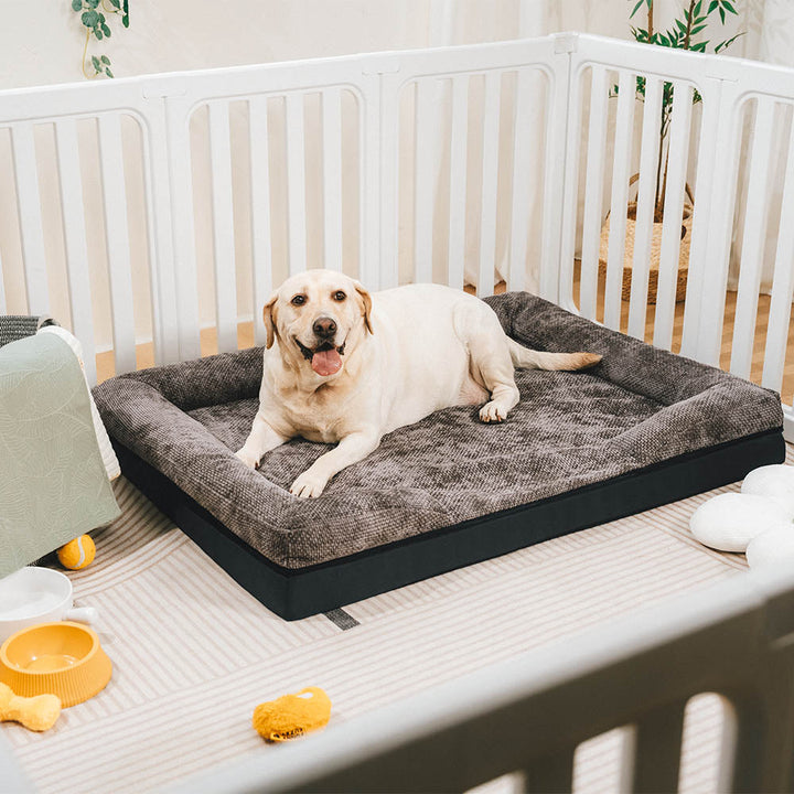 Stilvolles orthopädisches Hundebett für moderne Wohnräume, Komfort & Unterstützung.