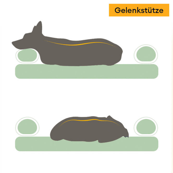 Glücklicher Hund entspannt auf weichem, orthopädischem Hundebett, Gelenkunterstützung.