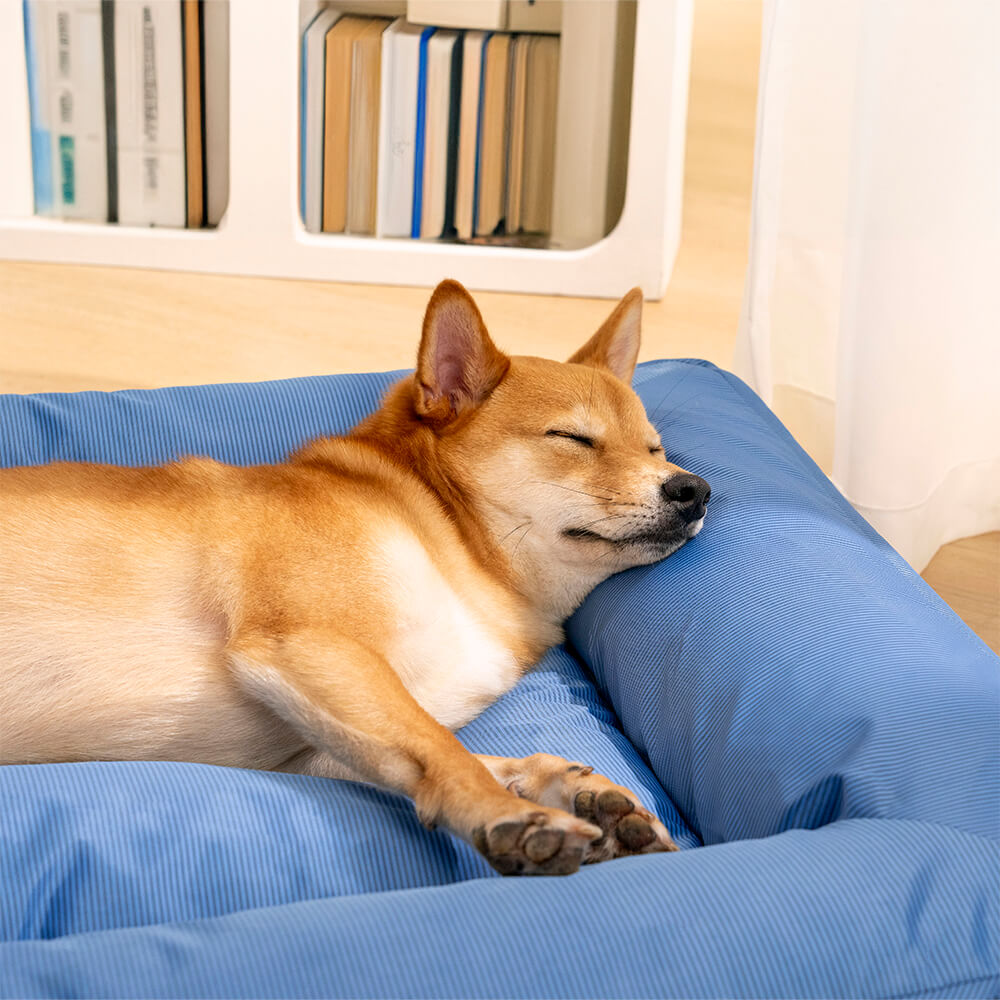 Gelenkschonendes, orthopädisches Hundebett, wasserabweisend, robust und pflegeleicht, für alle Hunderassen.