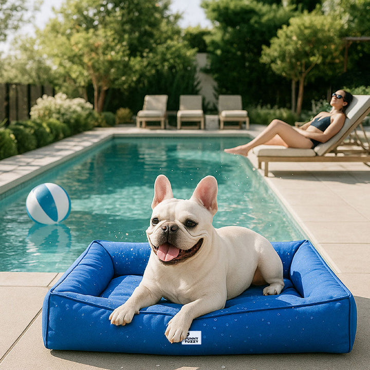 Großes, komfortables orthopädisches Hundebett, wasserabweisend und waschbar, unterstützt die Gelenke.