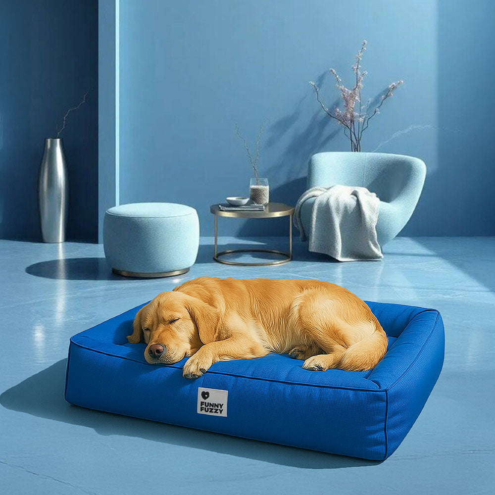 Pflegeleichtes orthopädisches Hundebett, waschbar, wasserabweisend und robust, ideal für ältere Hunde.