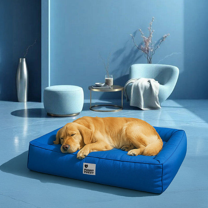 Pflegeleichtes orthopädisches Hundebett, waschbar, wasserabweisend und robust, ideal für ältere Hunde.