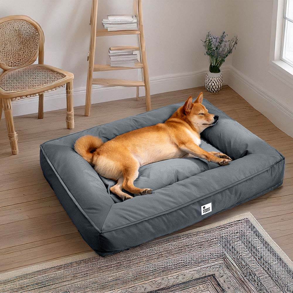 Orthopädisches Hundebett für große Rassen, wasserabweisend, komfortabel und gelenkschonend.