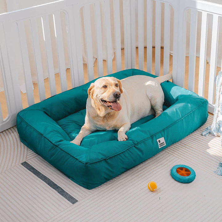 Modernes, orthopädisches Hundebett, robust, wasserabweisend und waschbar, für ein sauberes Zuhause.