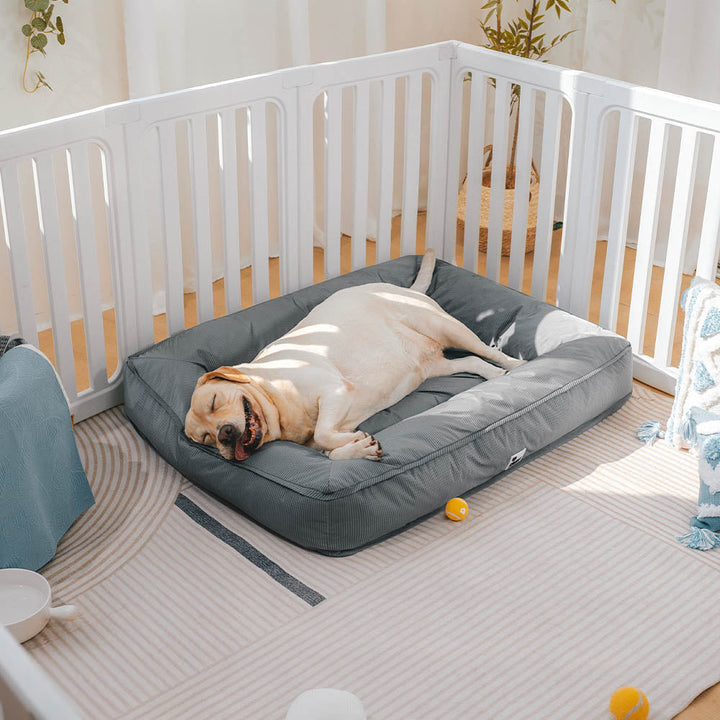 Extrem robustes orthopädisches Hundebett, wasserabweisend und waschbar, perfekt für den Innen- und Außenbereich.