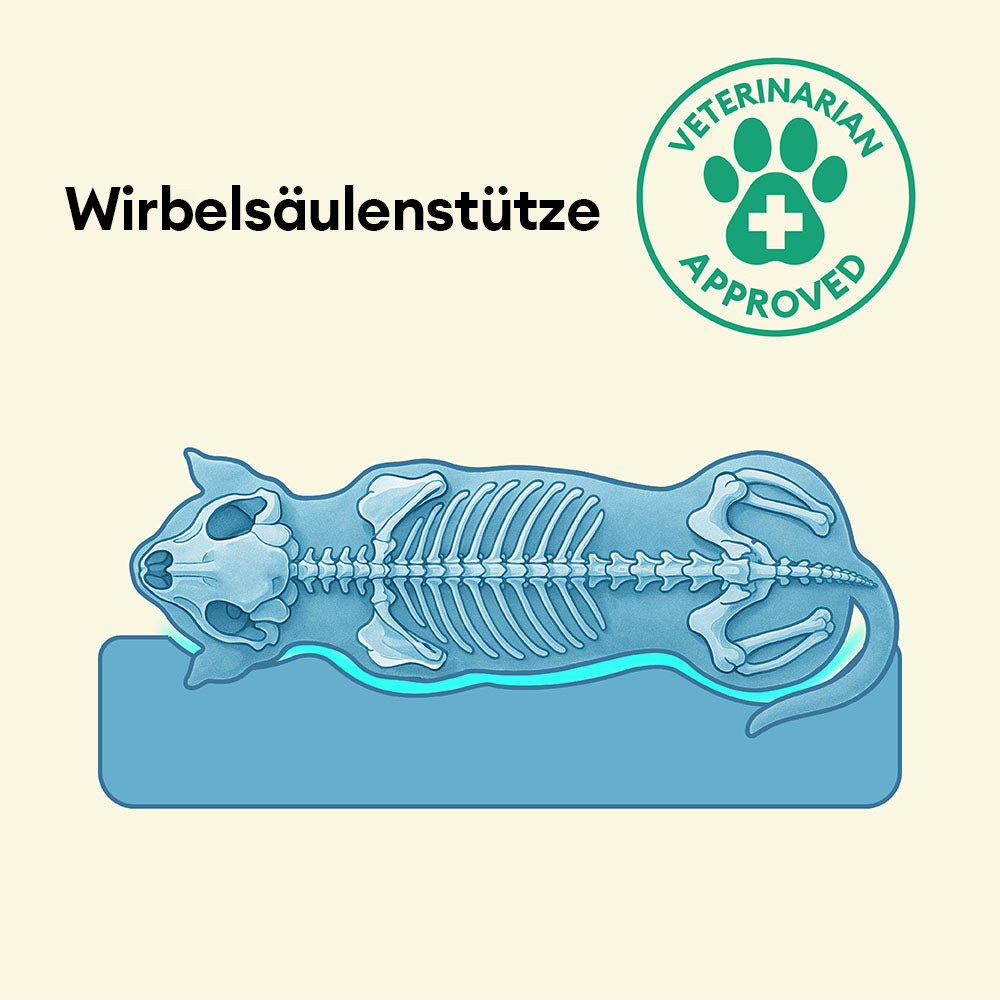 Hochwertiges orthopädisches Hundebett, robust und waschbar, perfekt für große Hunde und Senioren.