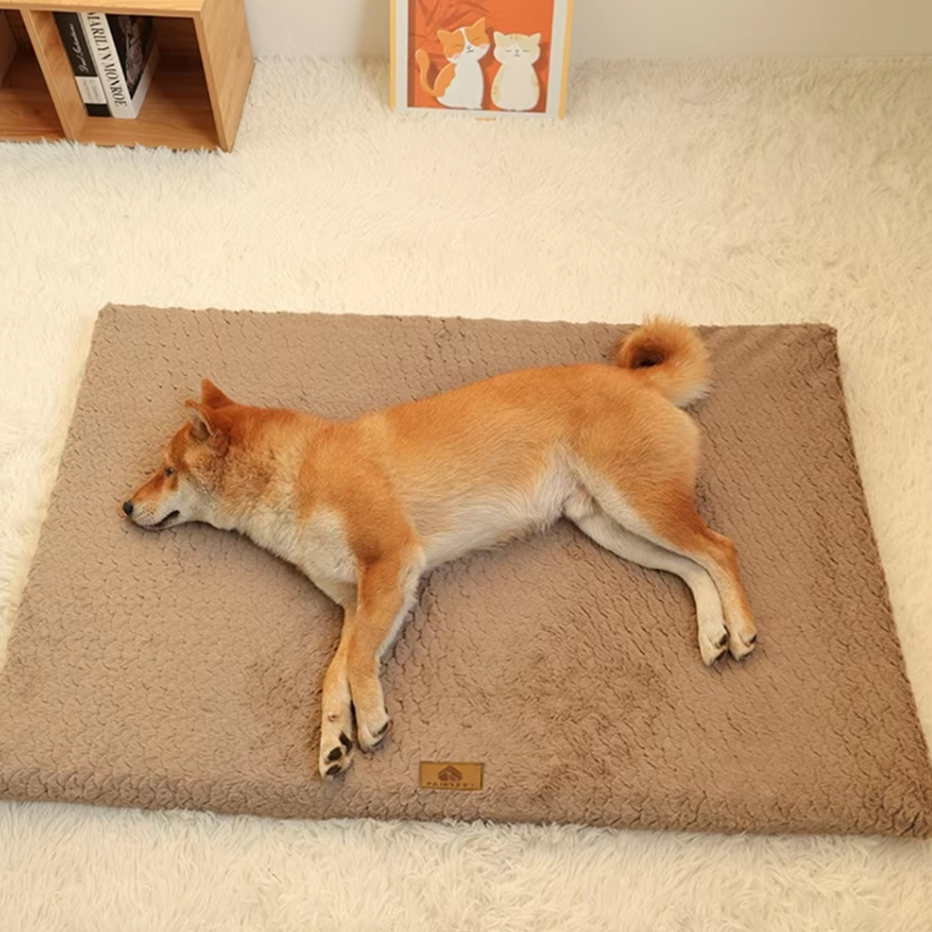 Orthopädisches Hundebett, weich & flauschig für Hunde & Katzen, bietet Komfort & Gelenkschonung.