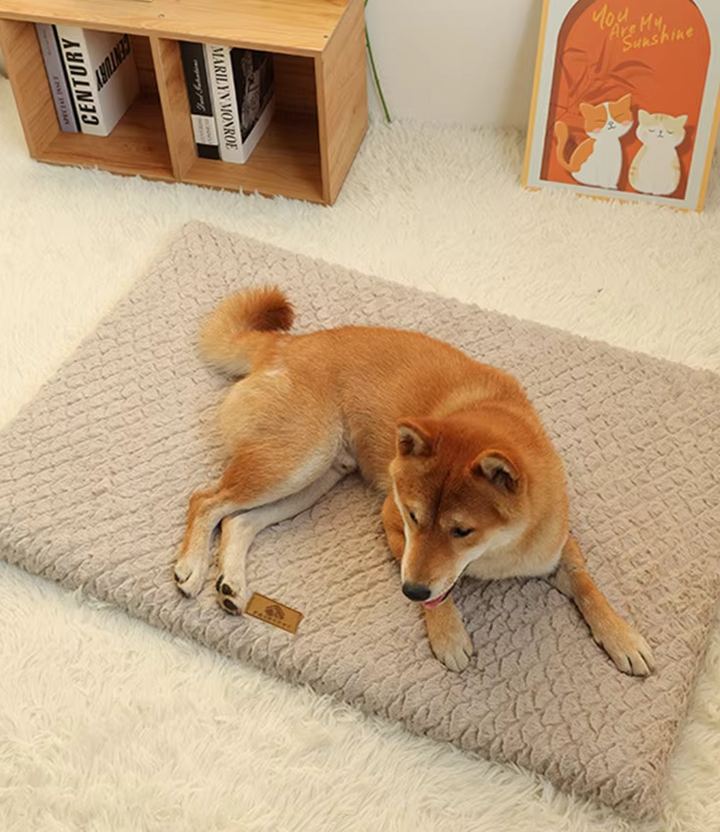 Flauschiges Plüsch-Hundebett, super weich, bietet warmen Schlafplatz für Hund & Katze.