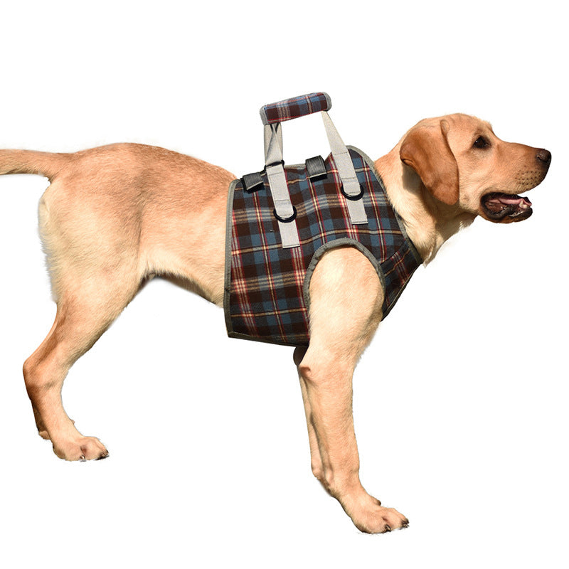 Stabiler Hundegurt für Vorder- & Hinterbeine, ideal bei Arthritis & Schwäche.
