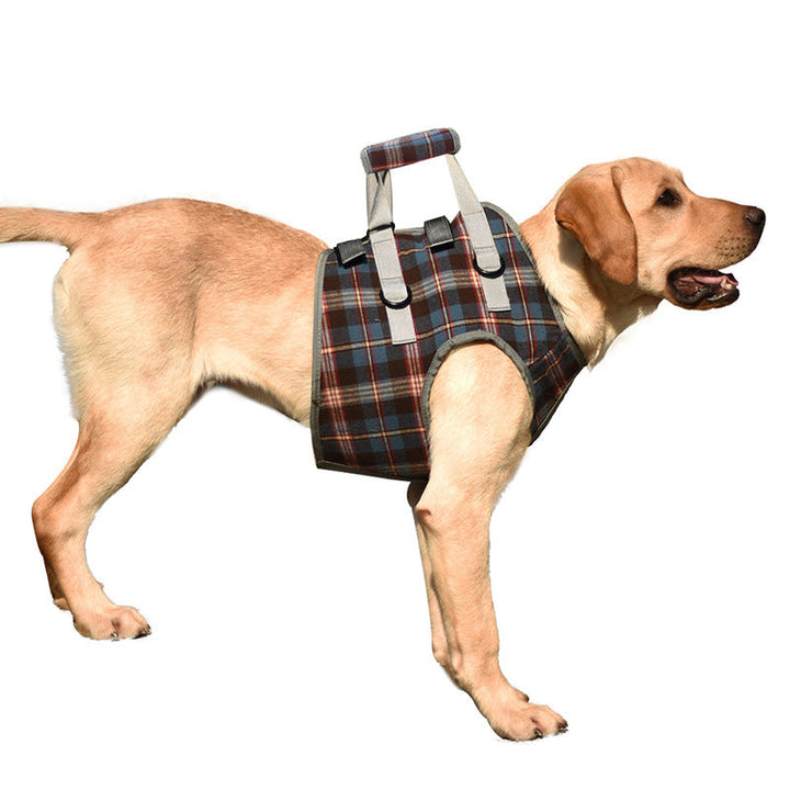 Stabiler Hundegurt für Vorder- & Hinterbeine, ideal bei Arthritis & Schwäche.