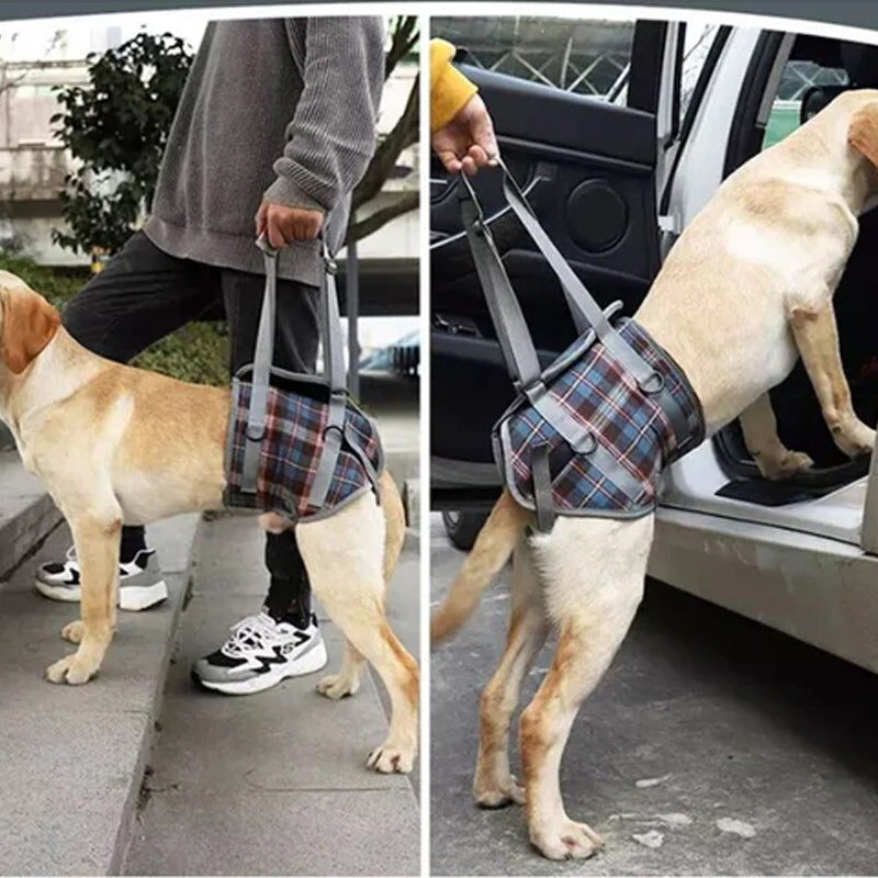 Hundegurt für Hinterbeine, ideal für Seniorhunde mit Gelenkproblemen und Reha.