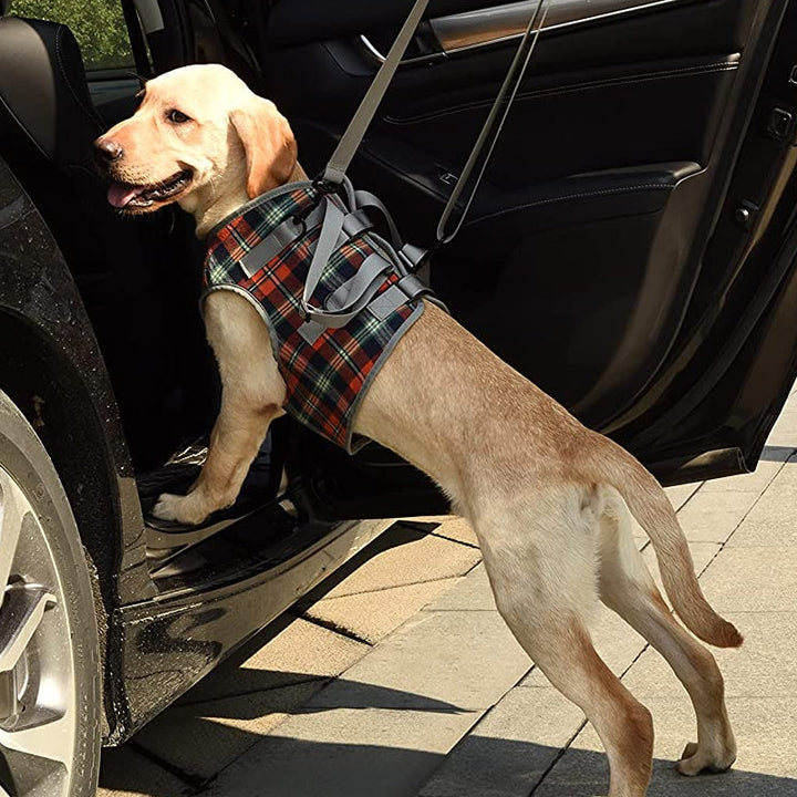 Gepolstertes orthopädisches Hundegeschirr für komfortables Heben und Gehen.