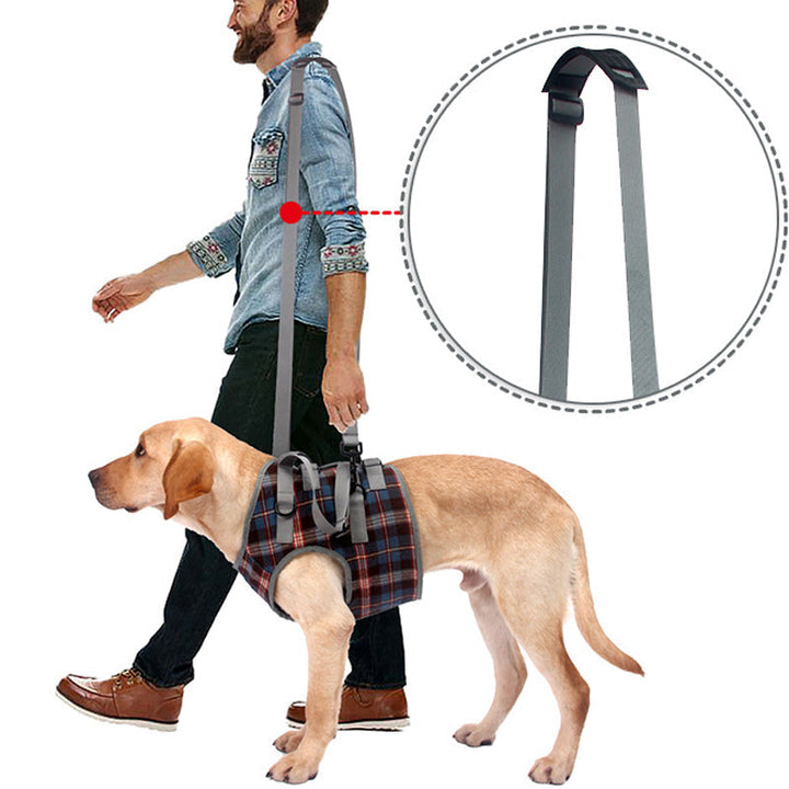 Hundegeschirr für schwache Hinterbeine, unterstützt beim Gehen & Stehen.