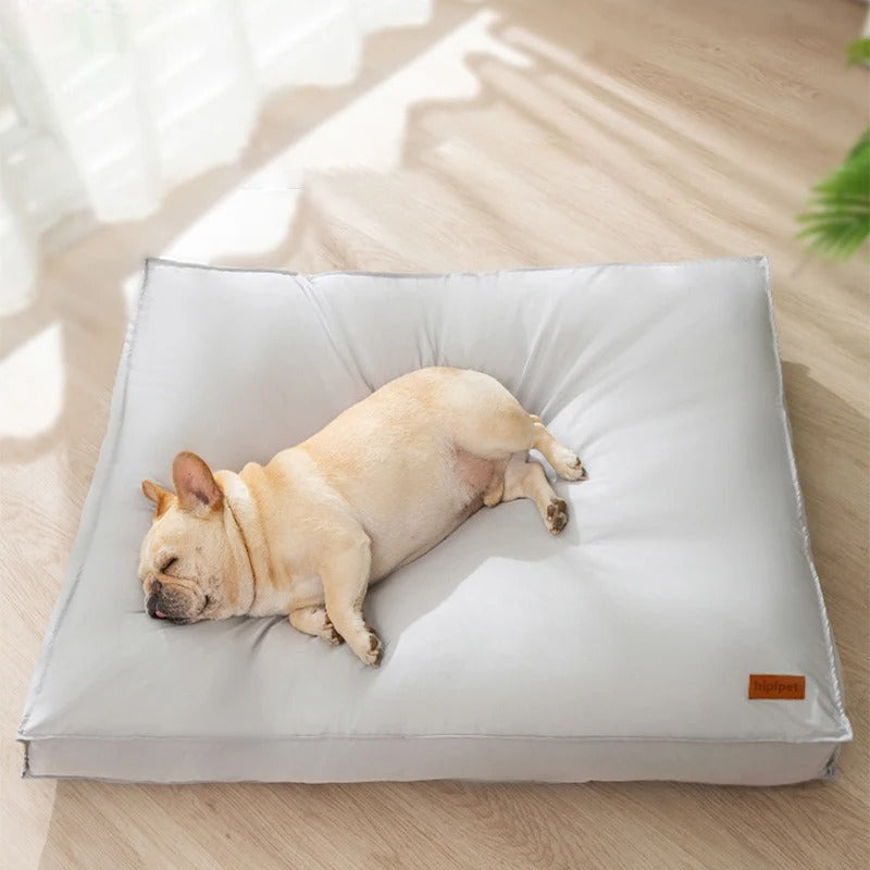 Orthopädisches Hundekissen für Hunde mit Memoryschaum. Wasserdichtes, komfortables Hundebett für Gelenkschutz.