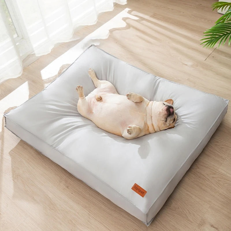 Modernes Hundebett, orthopädisch und wasserdicht. Mikrofaserbezug, pflegeleicht für Hunde jeden Alters.