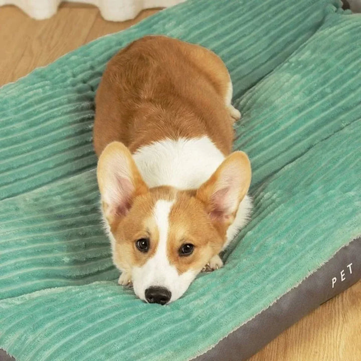 Orthopädisches Hundekissen SnuggleRest mit abnehmbarem, pflegeleichtem Bezug für einfache Reinigung. Tierbedarf.
