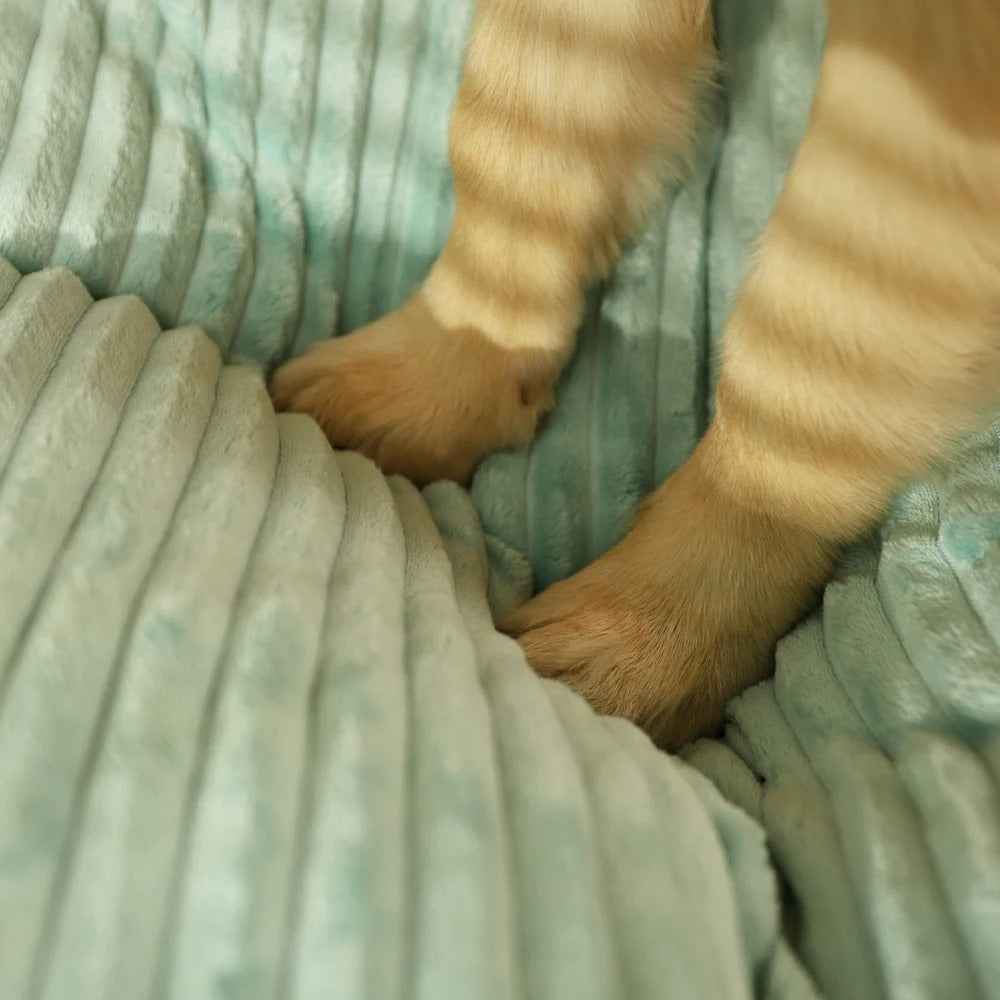 Hochwertiges orthopädisches Hundekissen SnuggleRest für Gelenkgesundheit und Komfort des Vierbeiners.