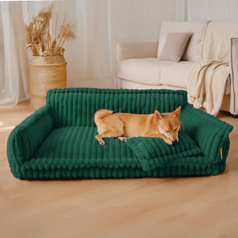 Kleines orthopädisches Hundebett aus Plüsch. Waschbar & gelenkschonend für Welpen und kleine Hunde.