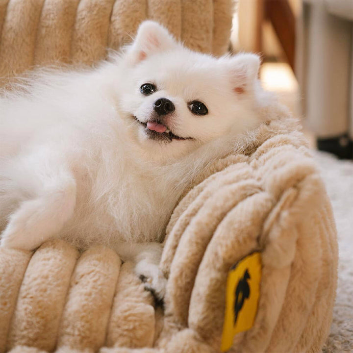Orthopädisches Hundesofabett im Wohnzimmer, flauschig & waschbar. Ein stilvolles Haustierbett.