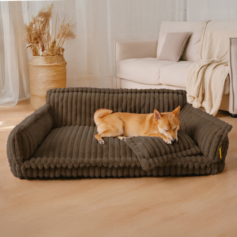 Gelenkschonendes Hundebett mit hohem Rand, orthopädisch & waschbar. Perfekt für große Hunde.