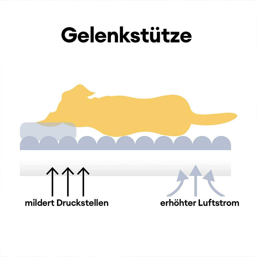Detailansicht: Weicher Plüsch des orthopädischen Hundesofabetts. Waschbares, bequemes Haustierbett.