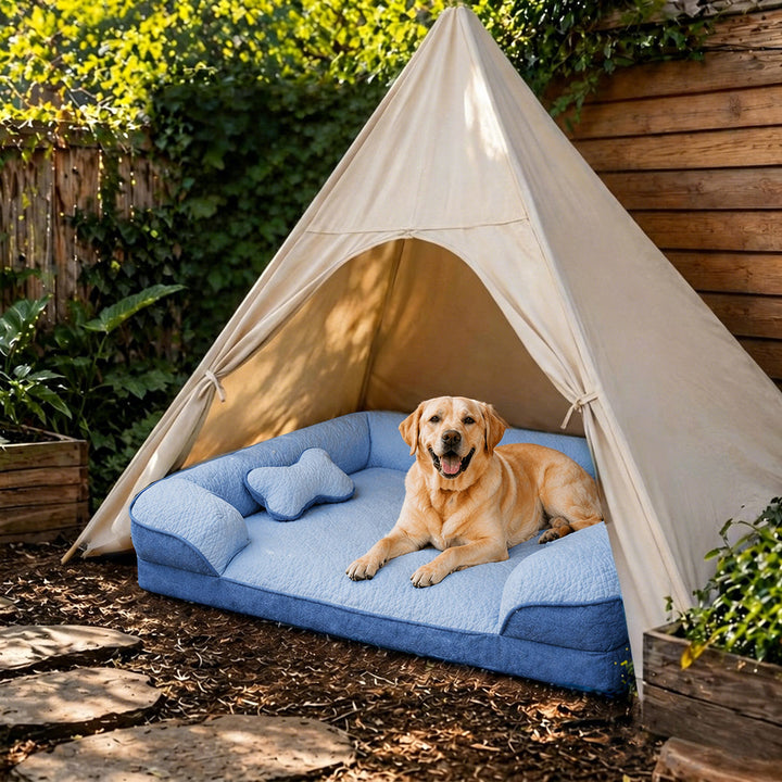 Orthopädisches Hundebett stützt Gelenke, waschbar, eckig; ideal für alte Hunde.