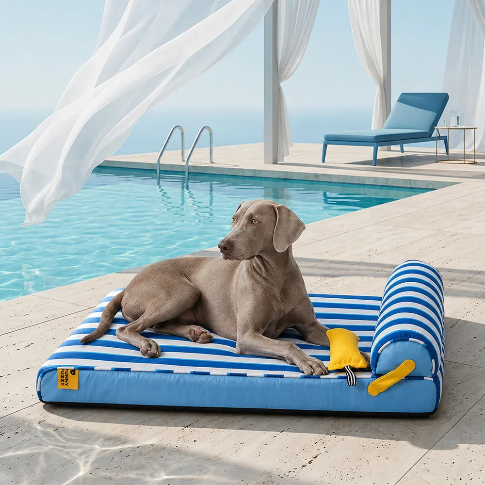 Orthopädisches kühlendes Hundebett mit Memoryschaum in Blau für Sommerruhe. Gelenkfreundlicher Schlafplatz für Hunde.