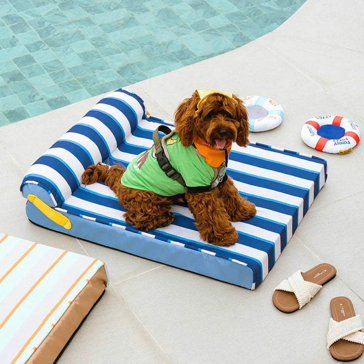 Kühlendes Hundebett in Khaki, ideal für entspannte Sommerruhe. Waschbares orthopädisches Tierbett mit Memoryschaum.