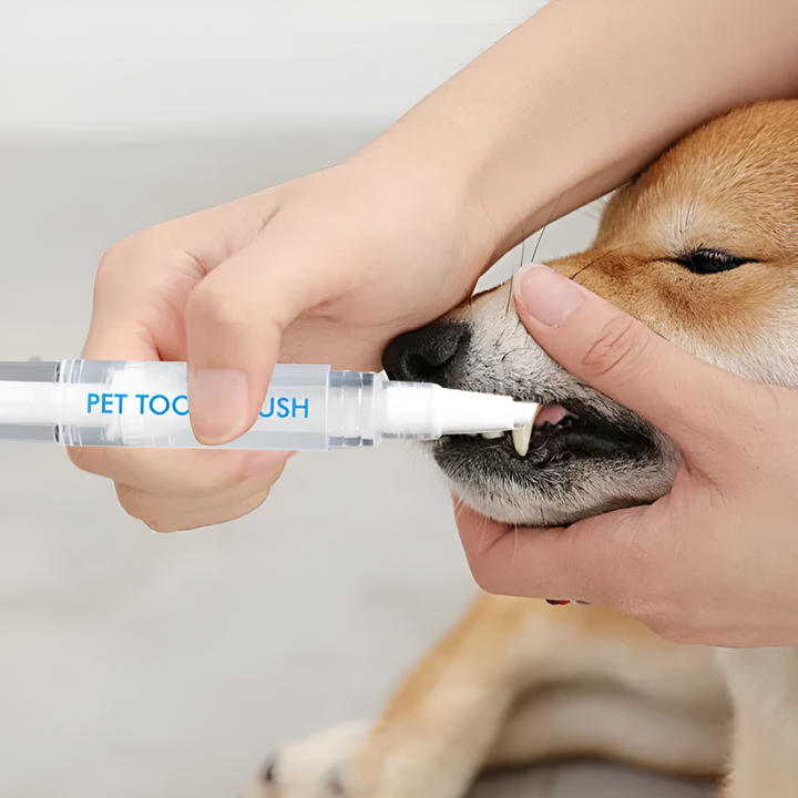 PawBright Zahnpflegestift für Hunde & Katzen. Effektive Mundhygiene, reduziert Plaque & Mundgeruch. Fördert gesunde Zähne.
