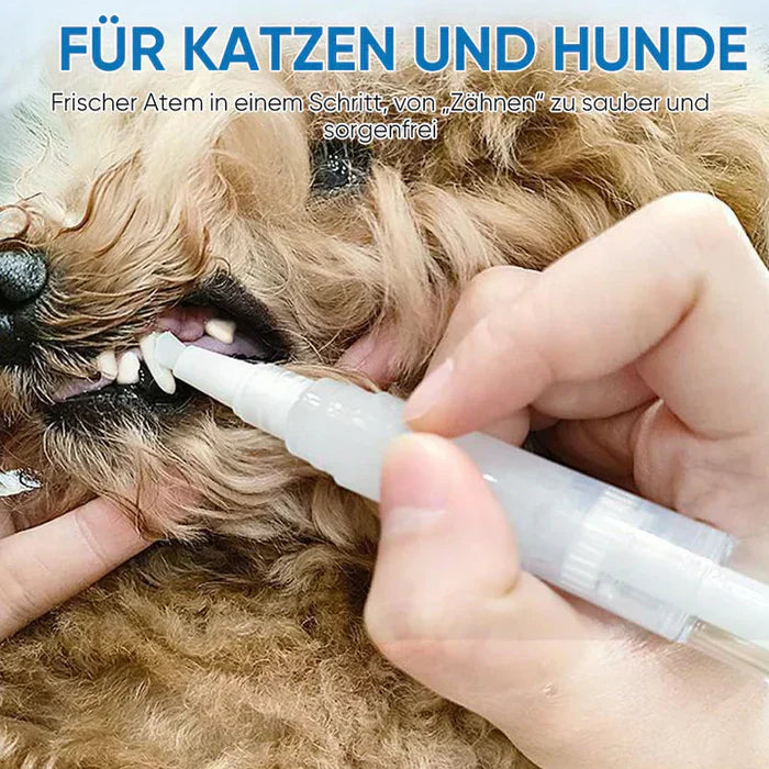 Glänzende, saubere Zähne bei Hund & Katze. Der PawBright Zahnpflegestift sorgt für frischen Atem & effektive Plaqueentfernung.