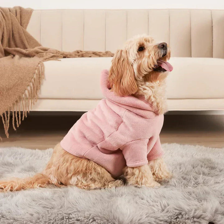 Unisex PawMatch Hoodie-Set für Hundebesitzer und Haustier. Bequeme Freizeitkleidung für alle Hundefreunde.