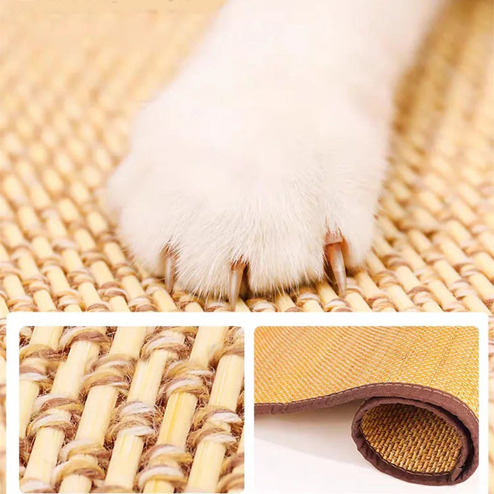 Nie mehr Kratzspuren! PawsGuard Möbel Kratzschutz für Katzen und Haustiere bewahrt Polstermöbel langfristig.