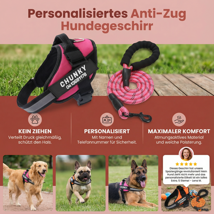 Verstellbares Anti-Zug Hundegeschirr, personalisiert für festen Halt und angenehmen Tragekomfort Ihres Hundes.