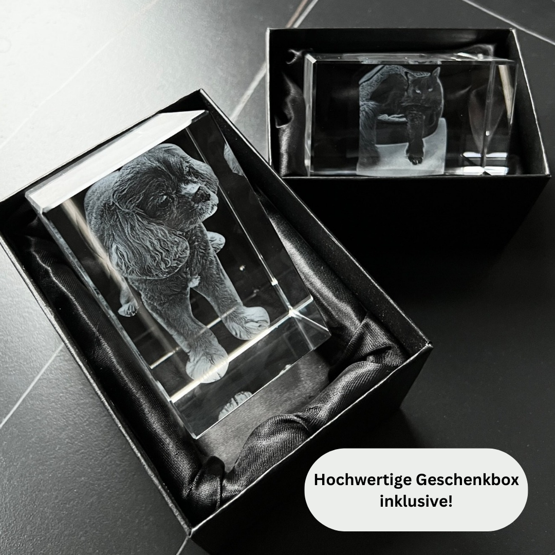 Eleganter personalisierter Fotokristall mit integrierter LED-Beleuchtung, ein herzliches Geburtstags- oder Hochzeitsgeschenk.