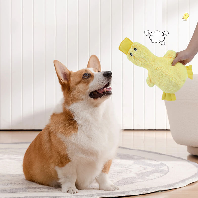 Robustes Enten Plüschtier als Hundespielzeug mit Quietscher. Ideal zum Kauen und Kuscheln für alle Hunderassen.