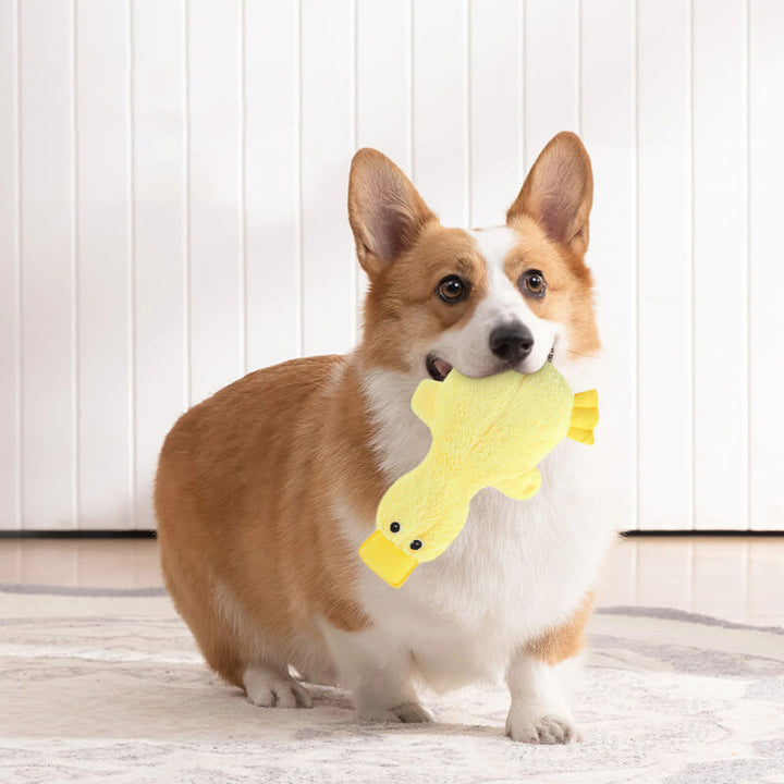 Interaktives Hundespielzeug Ente. Weiches Plüsch-Kauspielzeug mit Quietscher, perfekt für Apportier-Spiele.