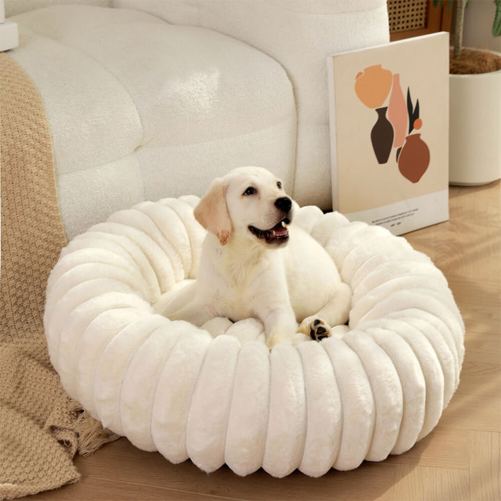 Plüschiges, rundes Donut-Hundebett für entspannten Schlaf und Gelenkschonung.