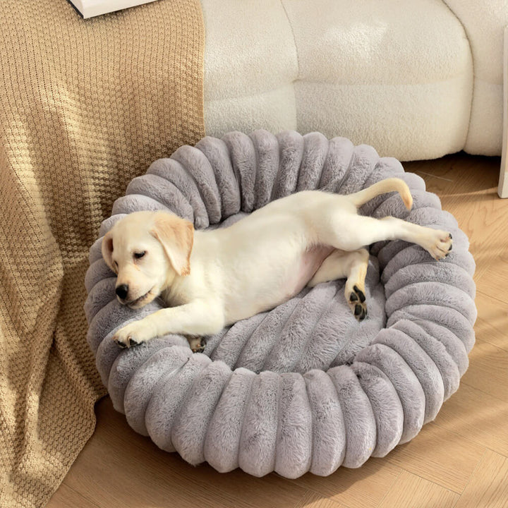 Ultraweiches Plüsch-Katzenbett im Donut-Design, bietet Geborgenheit & Wärme.